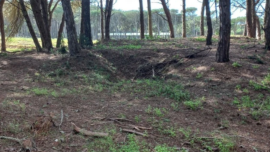 Terreno Agricola ou Rústico para Venda em Agualva e Mira-Sintra