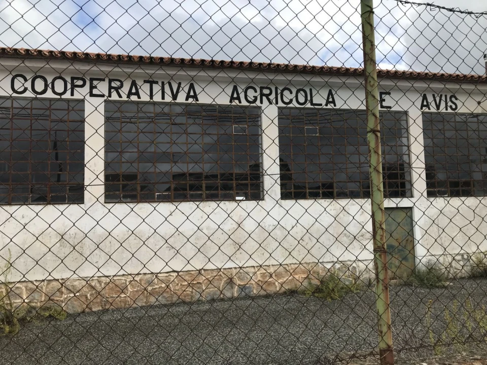 Armazém para Venda em Avis Foto 6