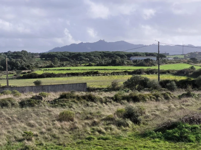 Moradia T4 para Venda em São João das Lampas e Terrugem Foto 18