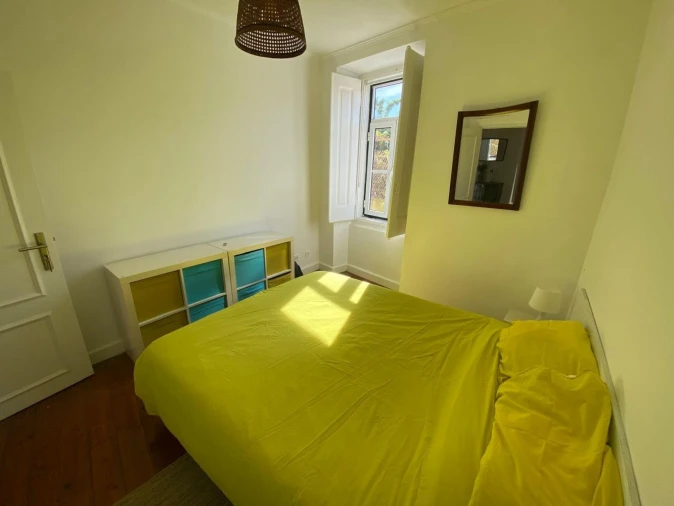 Apartamento T2 para Venda em São Vicente Foto 15