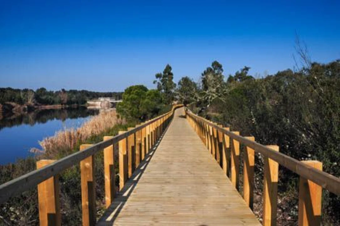 Armazém para Venda em Mora Foto 11