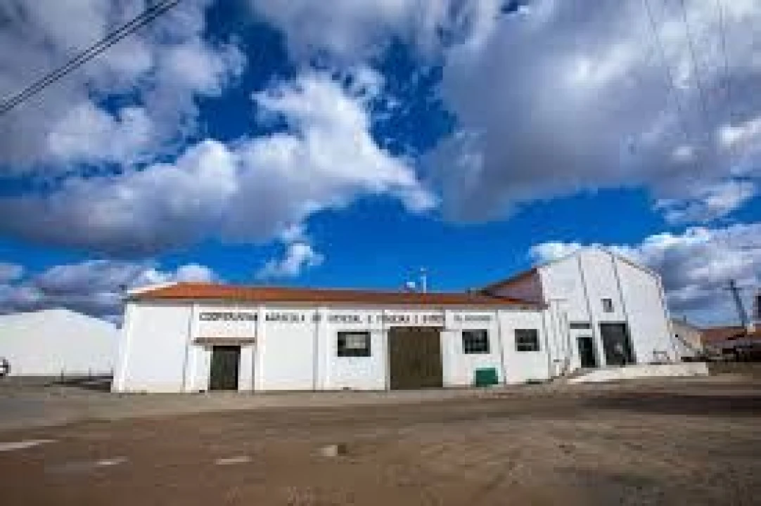 Moradia T4 para Venda em Ervedal Foto 10