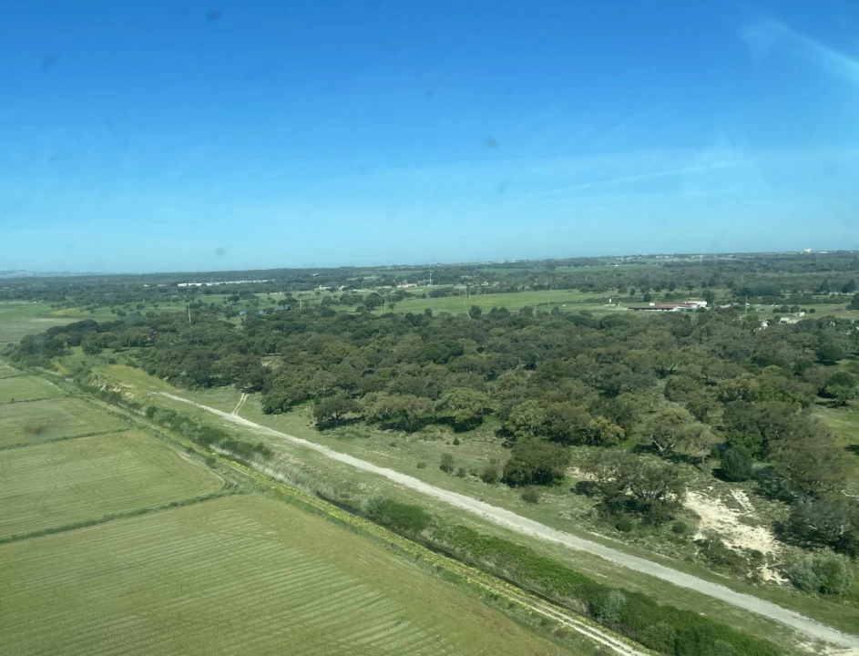 Terreno Agricola ou Rústico para Venda em Poceirão e Marateca Foto 1