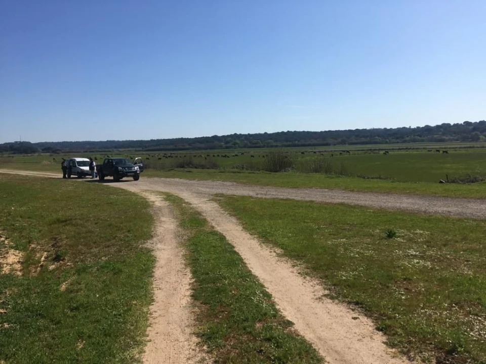 Terreno Agricola ou Rústico para Venda em Poceirão e Marateca Foto 9