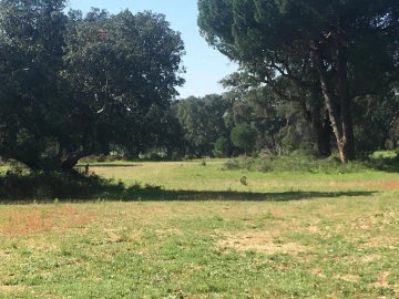 Terreno Agricola ou Rústico para Venda em Poceirão e Marateca