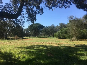 Terreno Agricola ou Rústico para Venda em Poceirão e Marateca