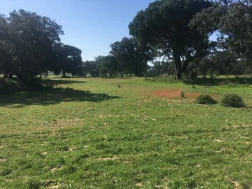 Terreno Agricola ou Rústico para Venda em Poceirão e Marateca