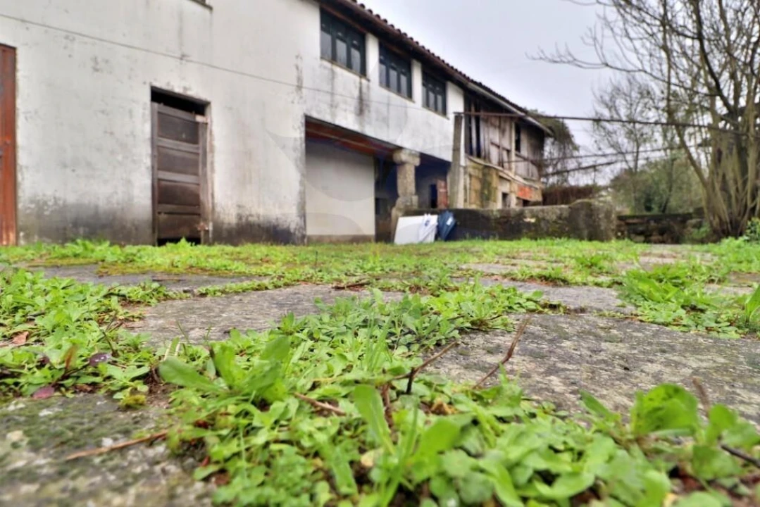 Moradia T3 para Venda em Este (São Pedro e São Mamede) Foto 6