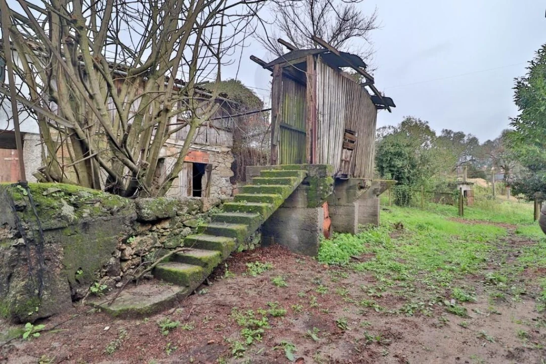 Moradia T3 para Venda em Este (São Pedro e São Mamede) Foto 10