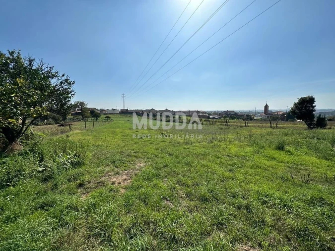 Terreno para Venda em Canelas e Fermelã Foto 2