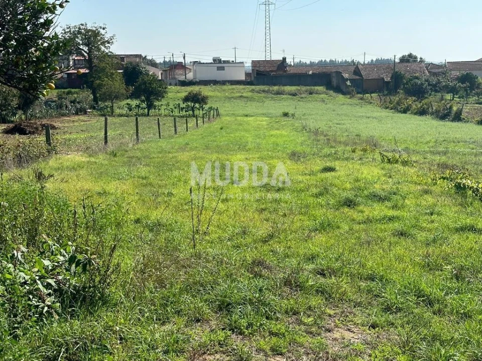 Terreno para Venda em Canelas e Fermelã Foto 3