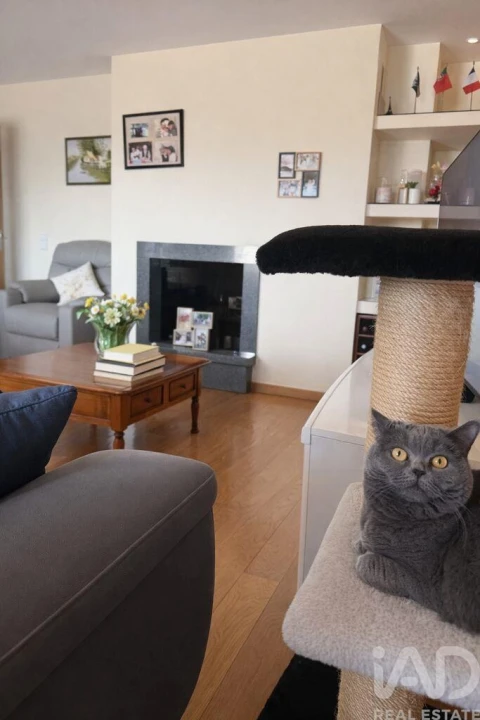 Apartamento T3 para Venda em Canidelo