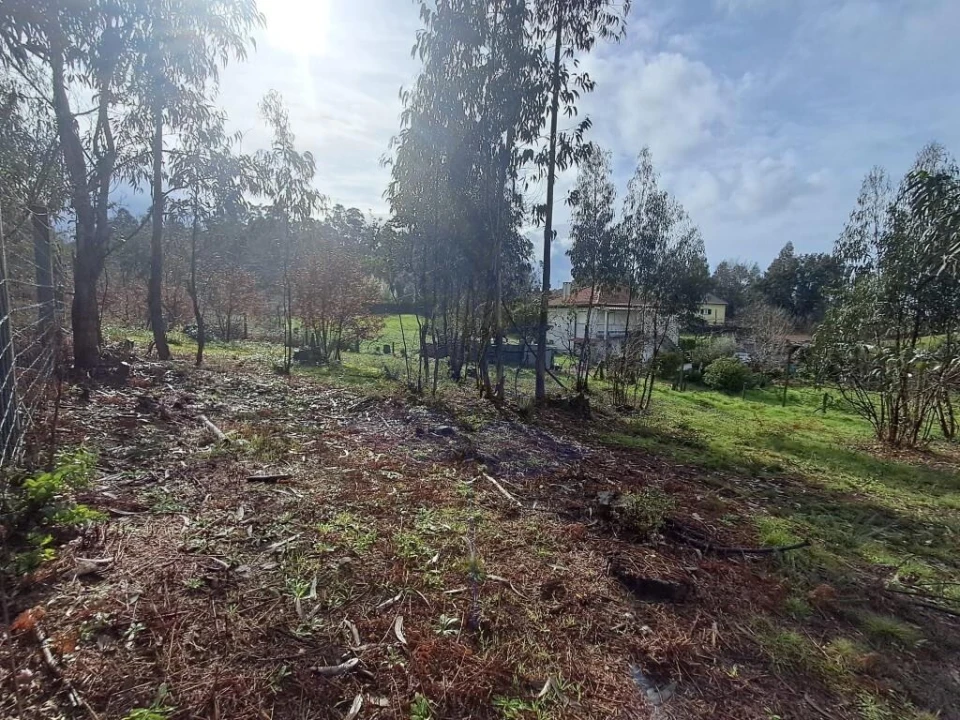 Terreno para Venda em Marrancos e Arcozelo Foto 16