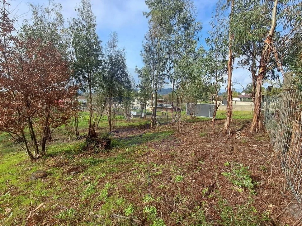 Terreno para Venda em Marrancos e Arcozelo Foto 17