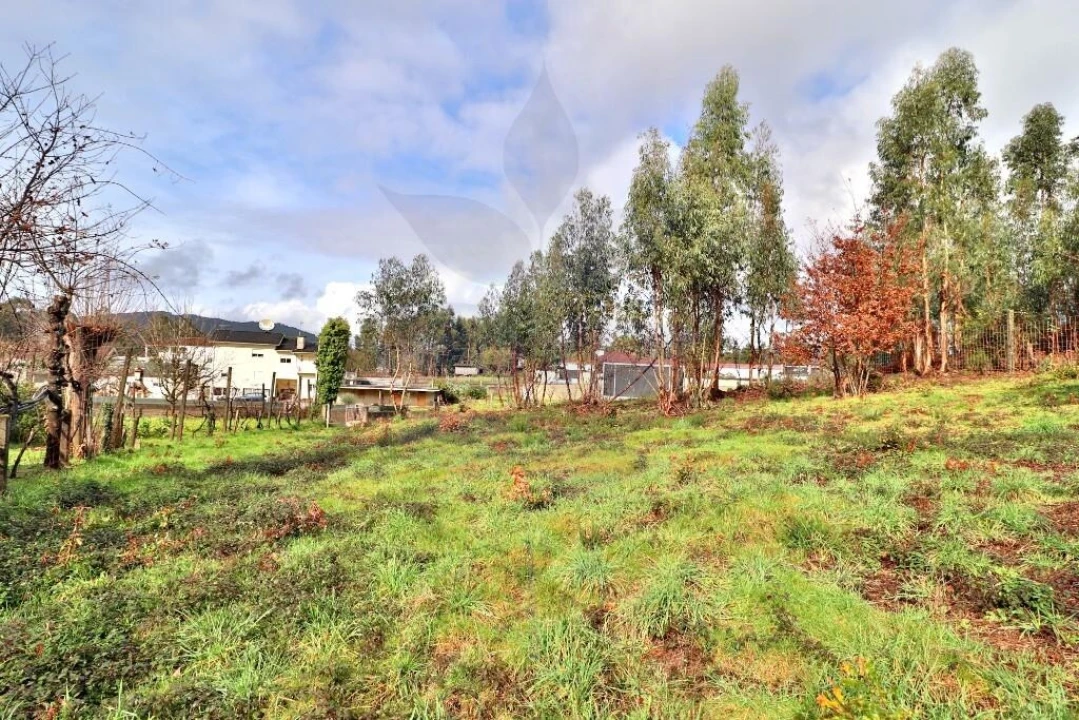 Terreno para Venda em Marrancos e Arcozelo Foto 8