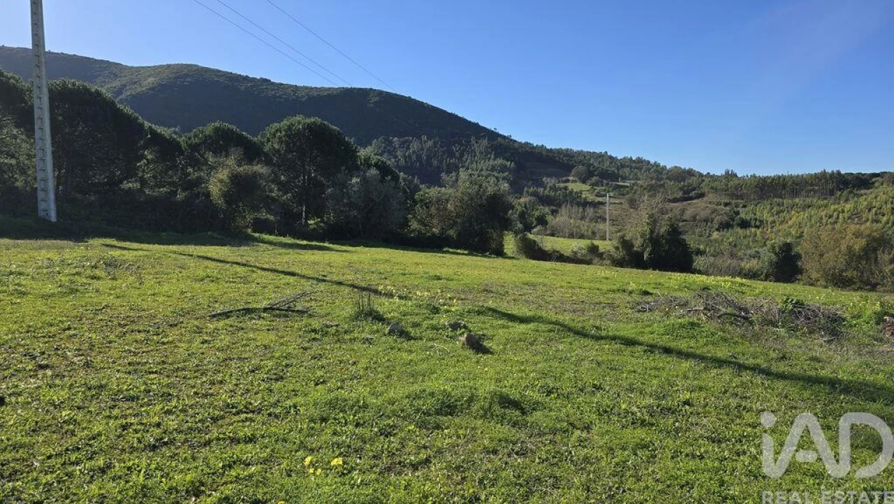 Terreno para Venda em Lamas e Cercal Foto 5