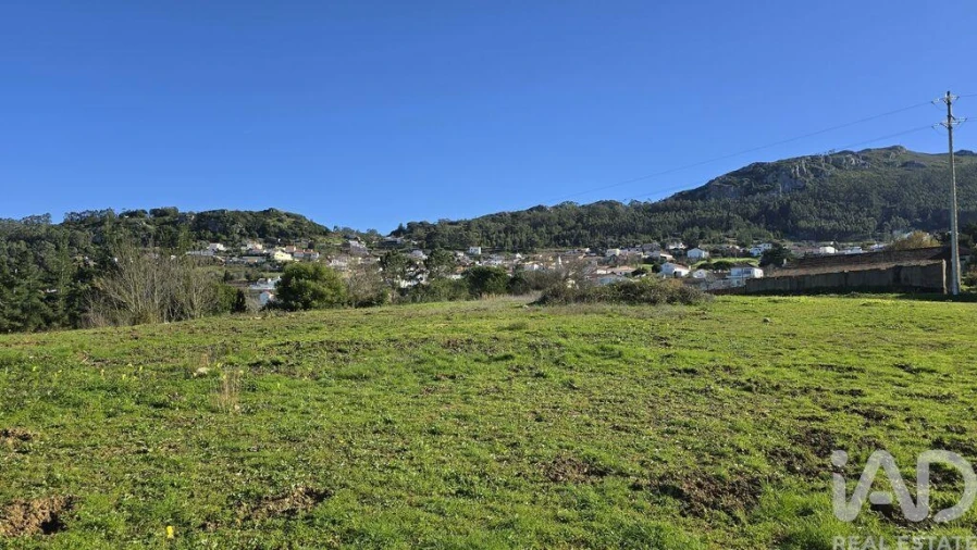 Terreno para Venda em Lamas e Cercal Foto 6