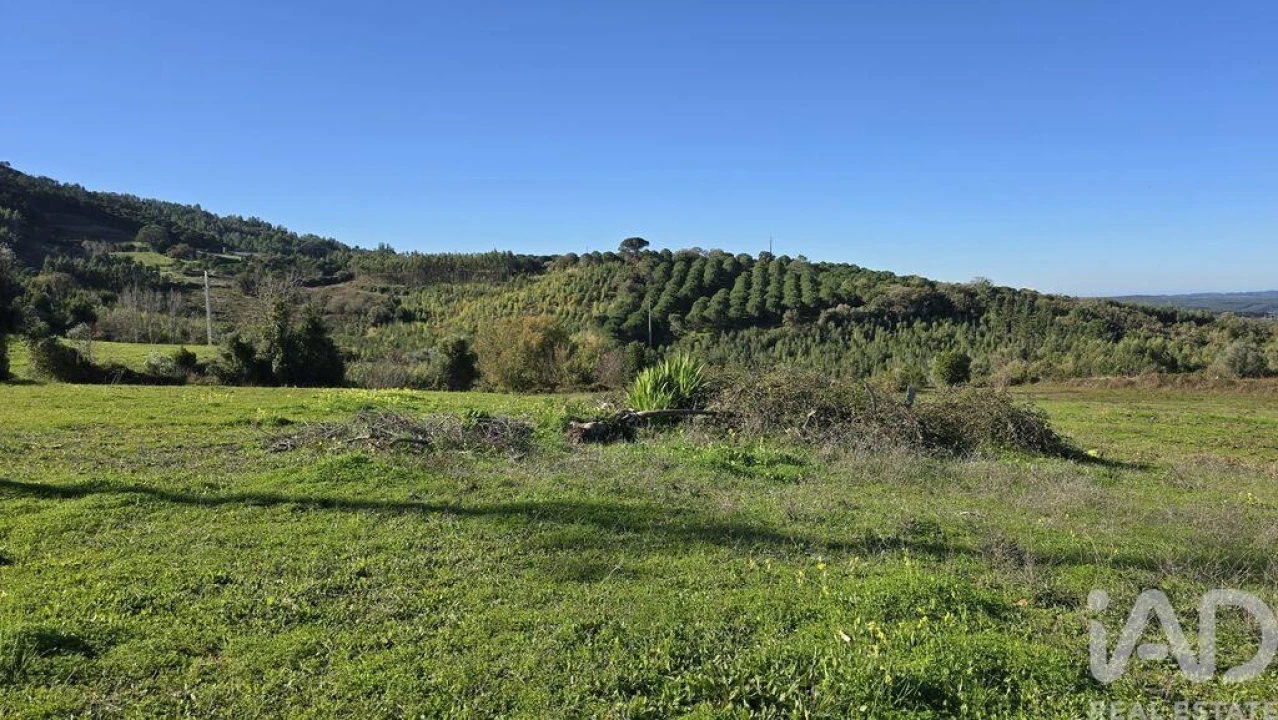 Terreno para Venda em Lamas e Cercal Foto 4