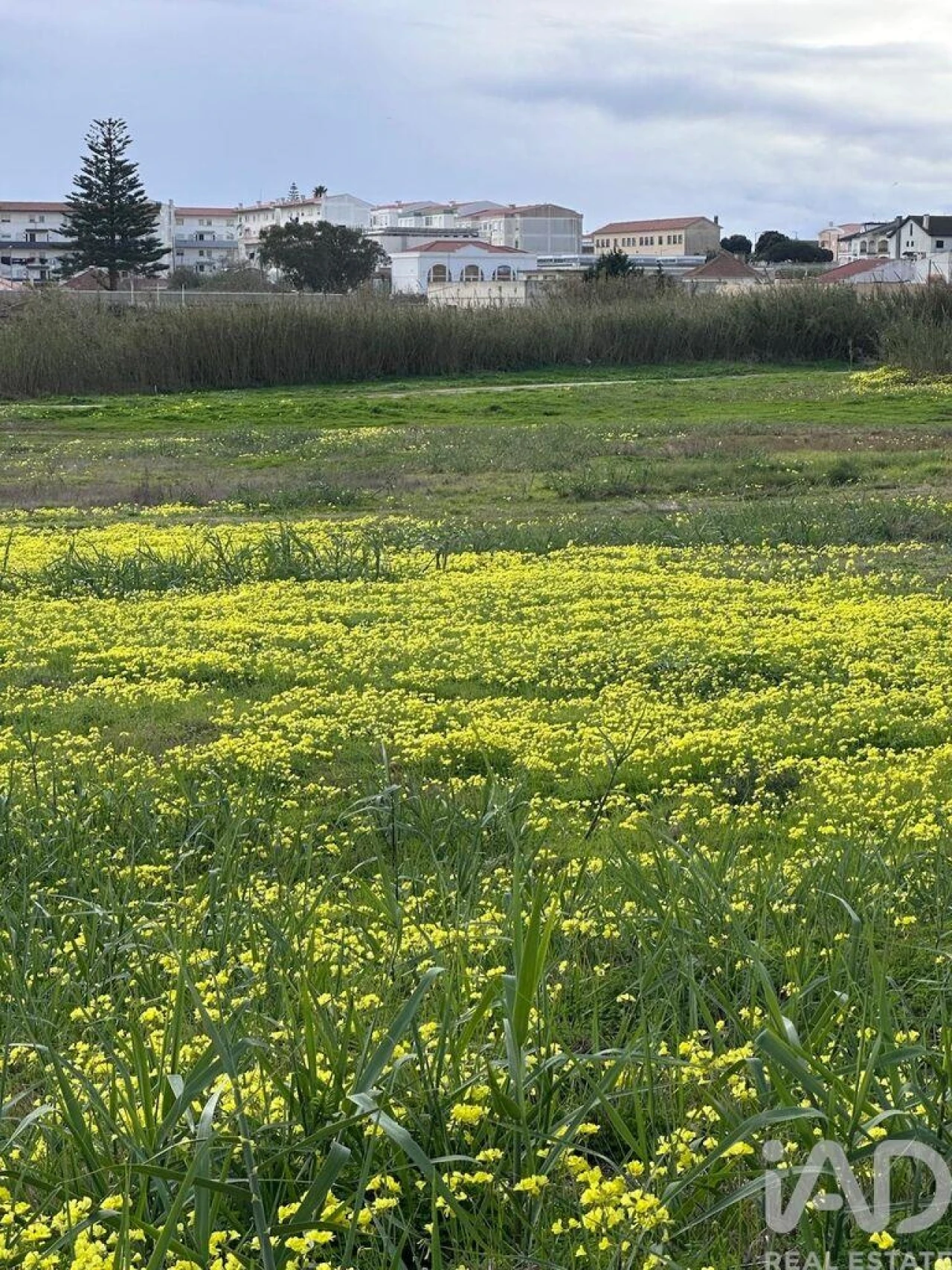 Terreno para Venda em Peniche Foto 6