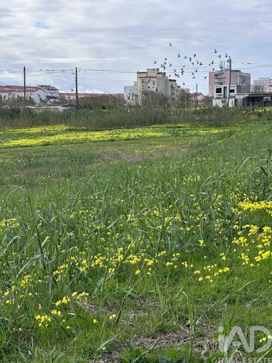 Terreno para Venda em Peniche Foto 5