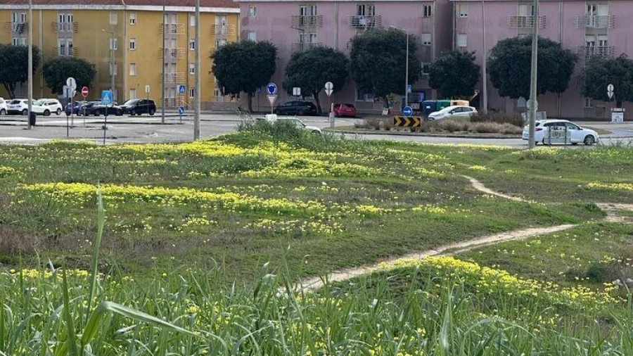 Terreno para Venda em Peniche