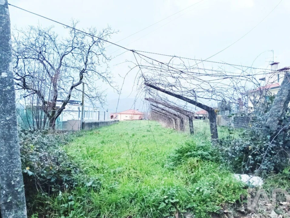 Terreno para Venda em Geraz do Lima (Santa Maria, Santa Leocádia, Moreira), Deão Foto 1