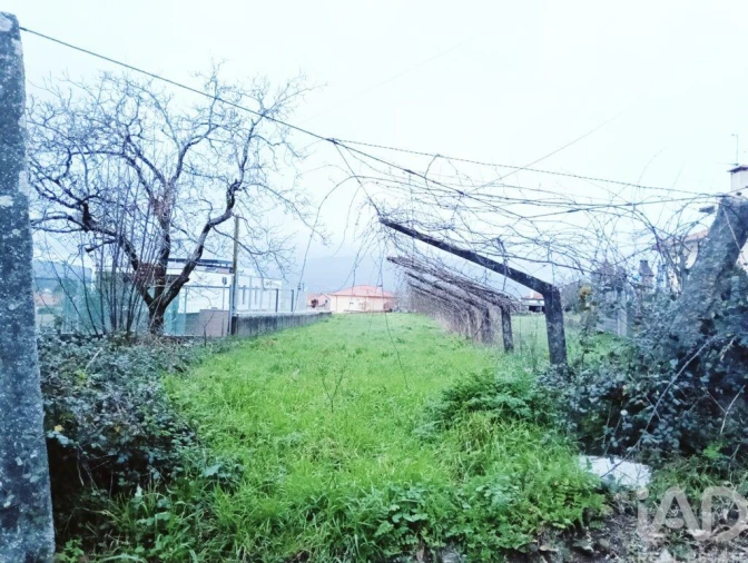 Terreno para Venda em Geraz do Lima (Santa Maria, Santa Leocádia, Moreira), Deão Foto 2