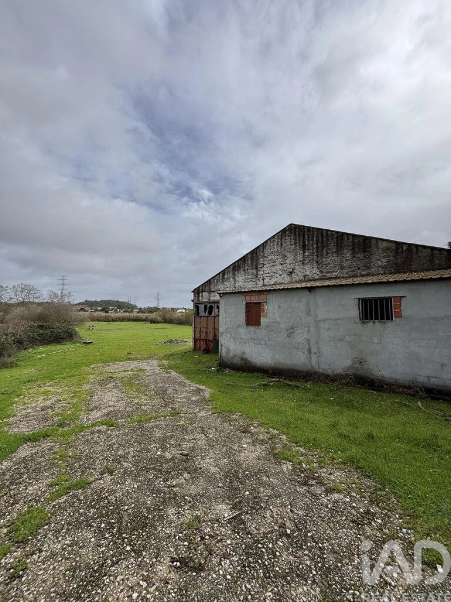 Terreno para Venda em Quinta do Conde Foto 4
