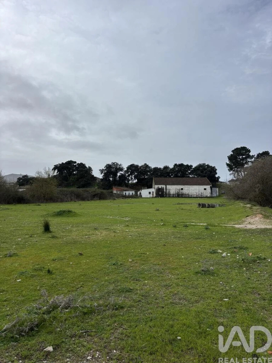 Terreno para Venda em Quinta do Conde Foto 13
