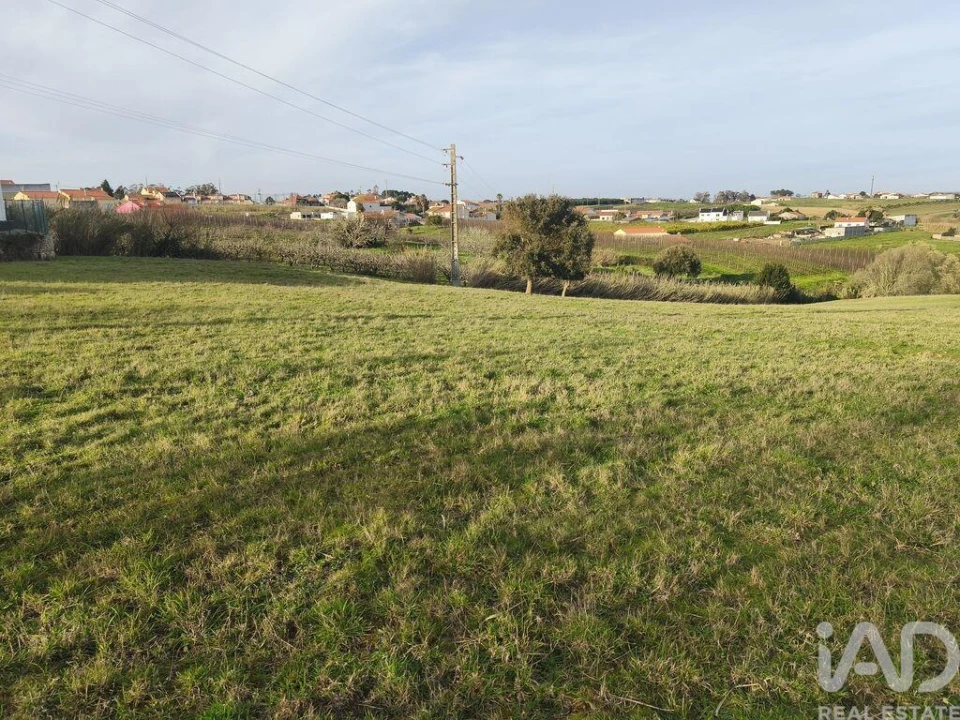 Terreno para Venda em Cela Foto 4