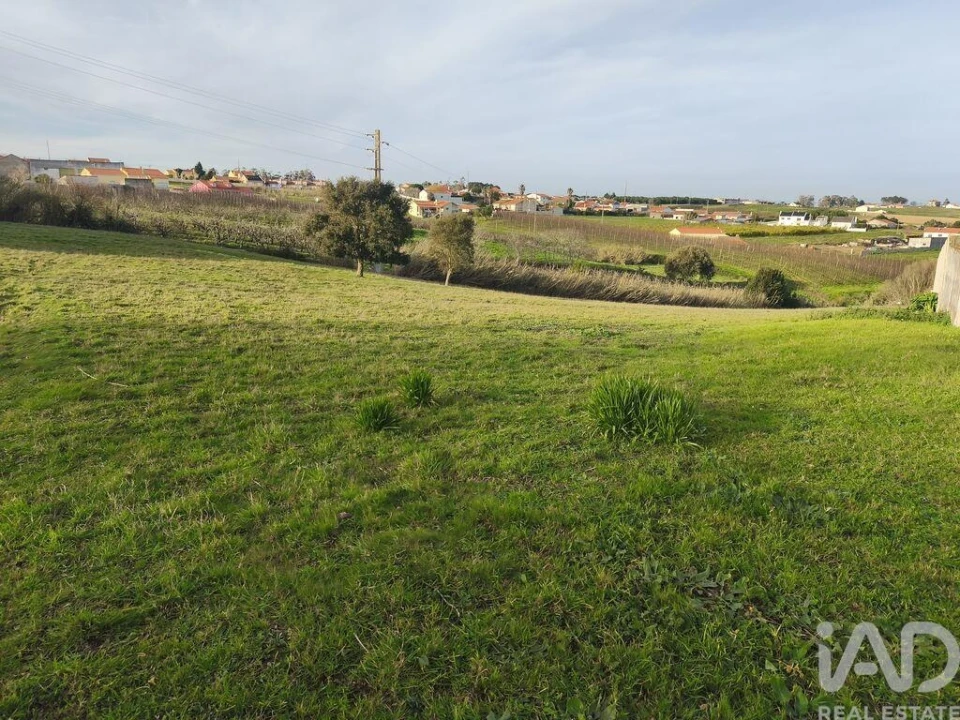 Terreno para Venda em Cela Foto 5