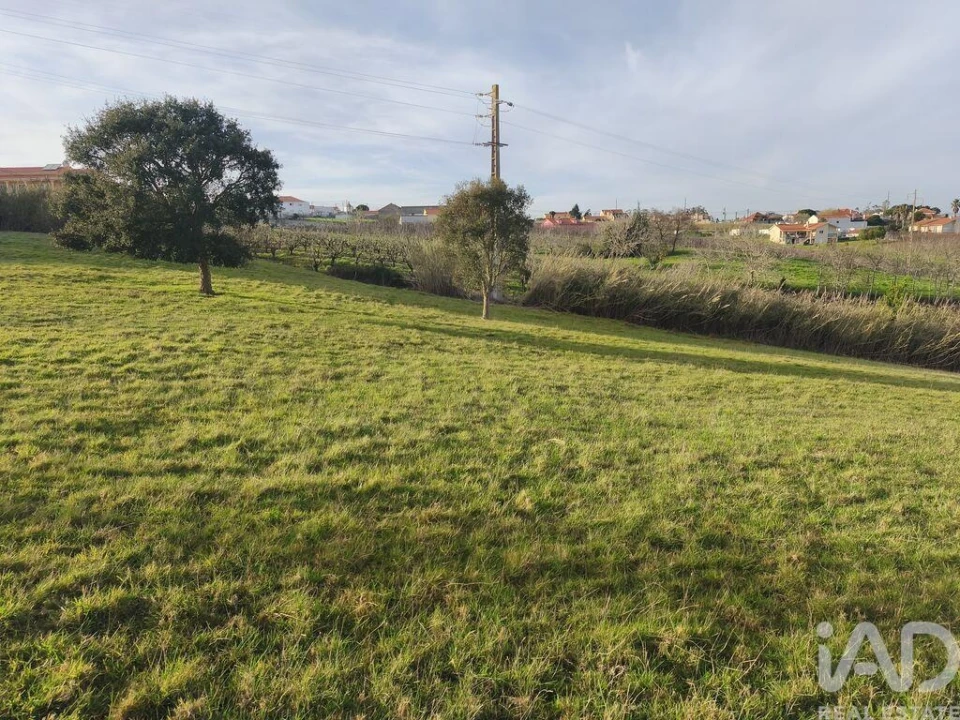 Terreno para Venda em Cela Foto 11