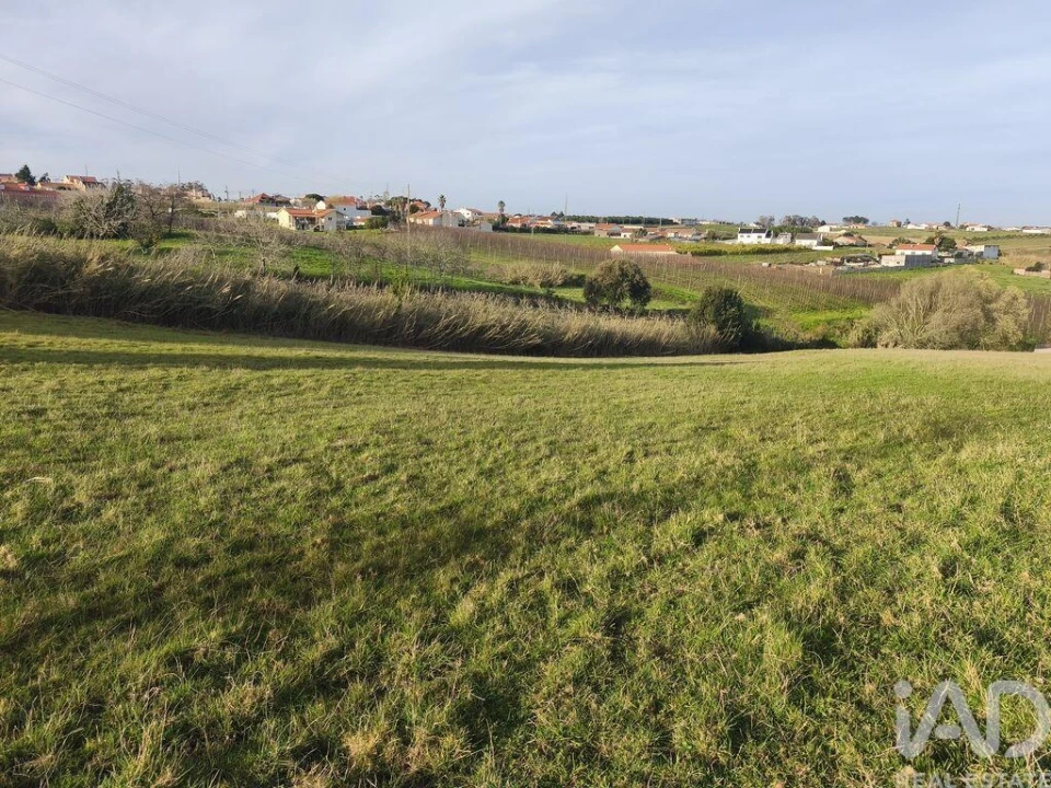 Terreno para Venda em Cela Foto 12