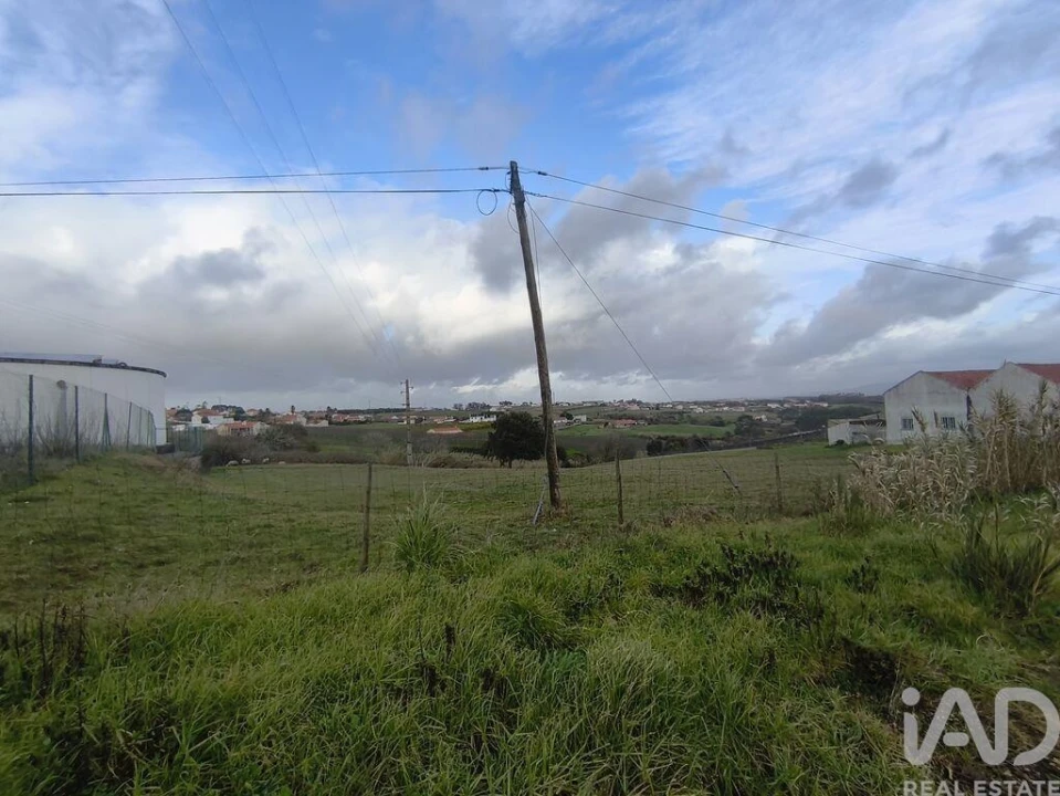 Terreno para Venda em Cela Foto 3