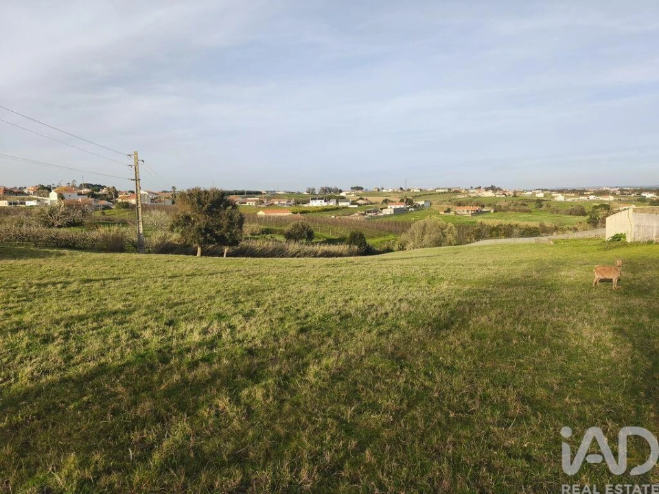 Terreno para Venda em Cela Foto 2