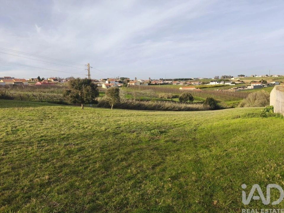 Terreno para Venda em Cela Foto 8