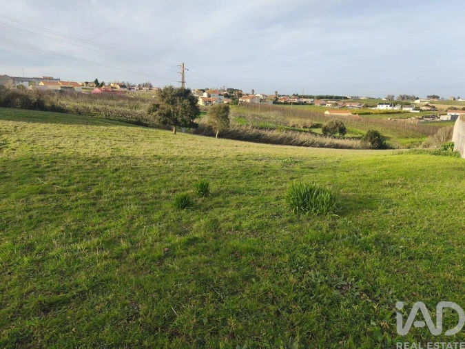 Terreno para Venda em Cela Foto 5