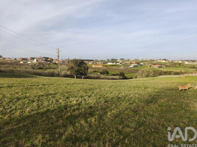 Terreno para Venda em Cela Foto 1