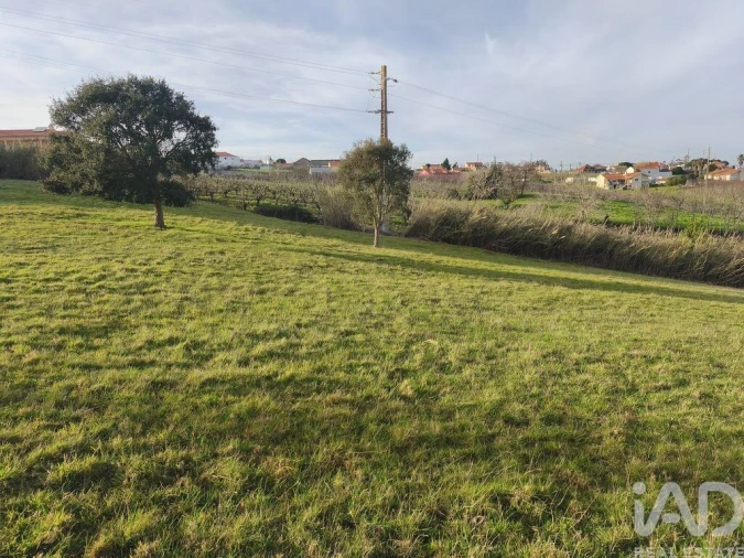 Terreno para Venda em Cela Foto 11
