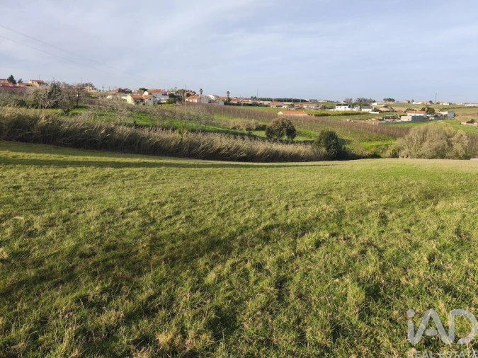 Terreno para Venda em Cela Foto 12