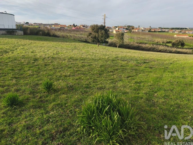 Terreno para Venda em Cela Foto 7