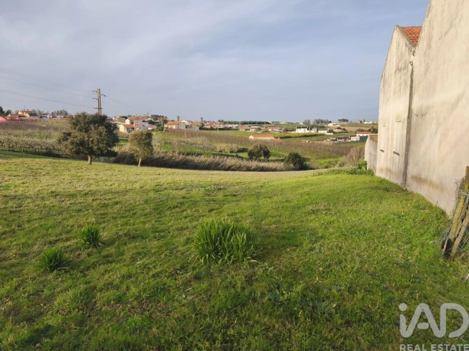 Terreno para Venda em Cela Foto 6