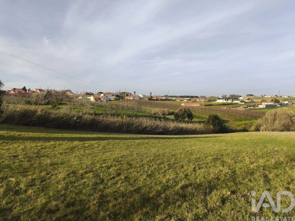 Terreno para Venda em Cela Foto 10