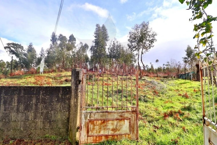 Terreno para Venda em Marrancos e Arcozelo Foto 5