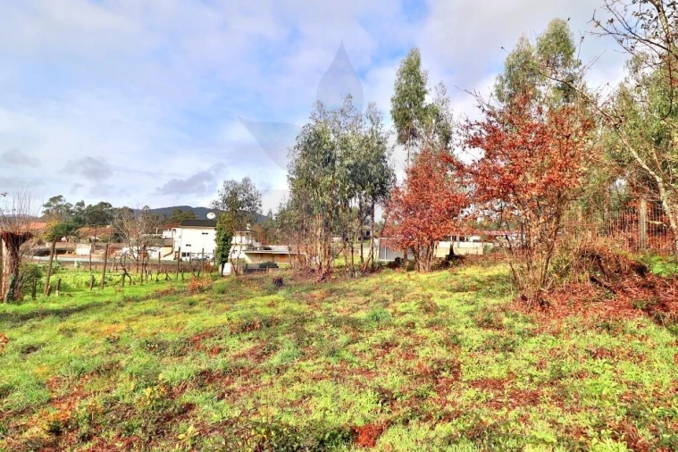 Terreno para Venda em Marrancos e Arcozelo Foto 13