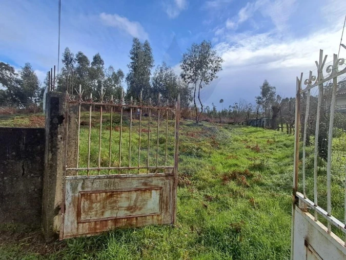 Terreno para Venda em Marrancos e Arcozelo Foto 26