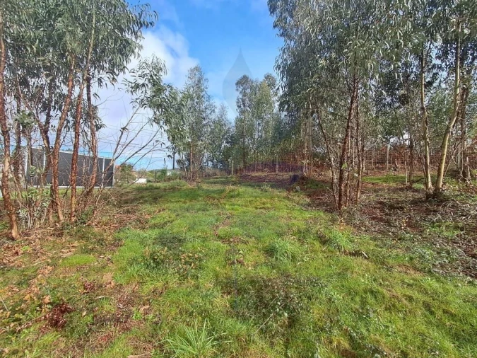 Terreno para Venda em Marrancos e Arcozelo Foto 23