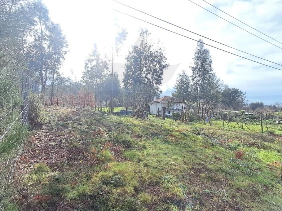Terreno para Venda em Marrancos e Arcozelo Foto 6