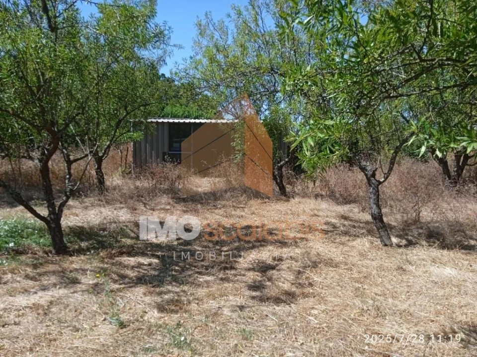 Terreno para Venda em Pontevel Foto 7