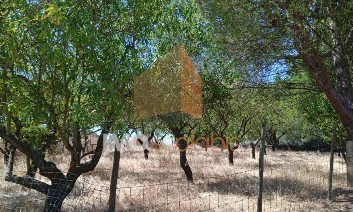 Terreno para Venda em Pontevel Foto 11